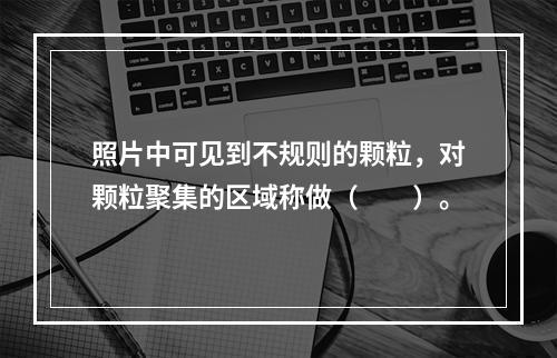 照片中可见到不规则的颗粒，对颗粒聚集的区域称做（　　）。