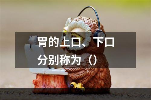 胃的上口、下口分别称为（）