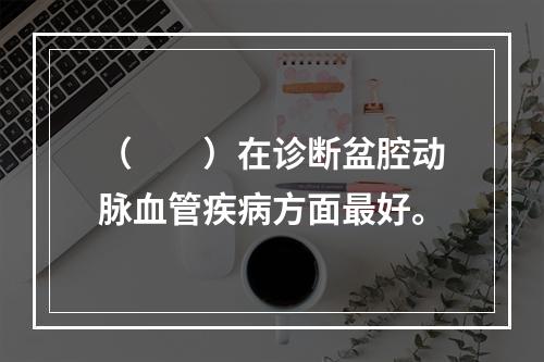 （　　）在诊断盆腔动脉血管疾病方面最好。