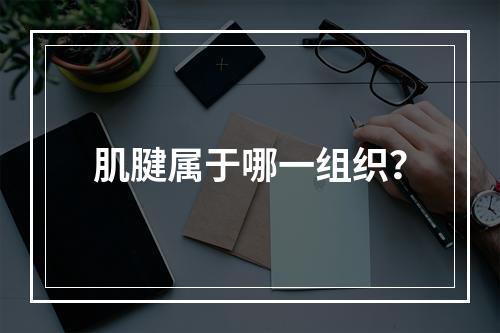 肌腱属于哪一组织？