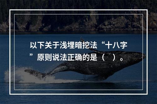 以下关于浅埋暗挖法“十八字”原则说法正确的是（　）。