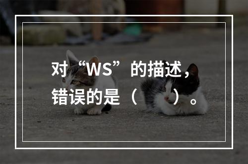 对“WS”的描述，错误的是（　　）。