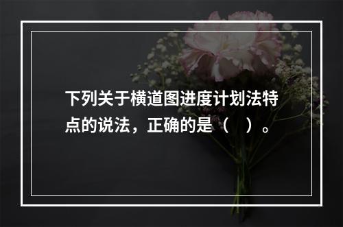 下列关于横道图进度计划法特点的说法，正确的是（　）。