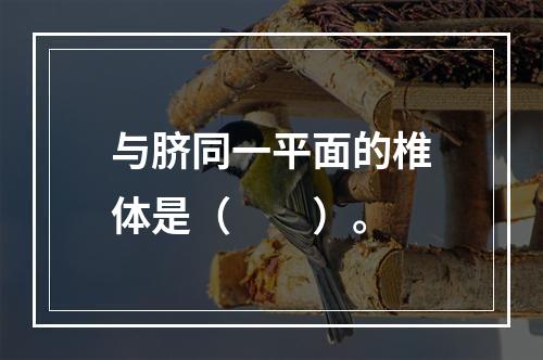 与脐同一平面的椎体是（　　）。