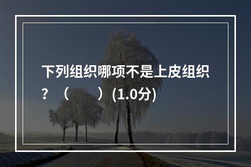 下列组织哪项不是上皮组织？（　　）(1.0分)