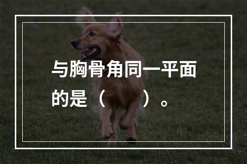 与胸骨角同一平面的是（　　）。