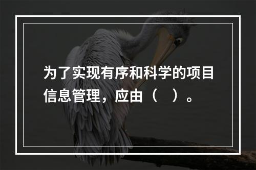 为了实现有序和科学的项目信息管理，应由（　）。