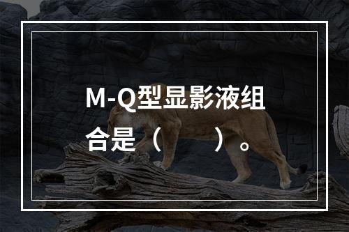 M-Q型显影液组合是（　　）。