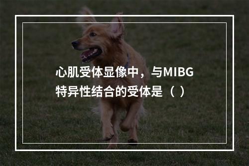 心肌受体显像中，与MIBG特异性结合的受体是（  ）