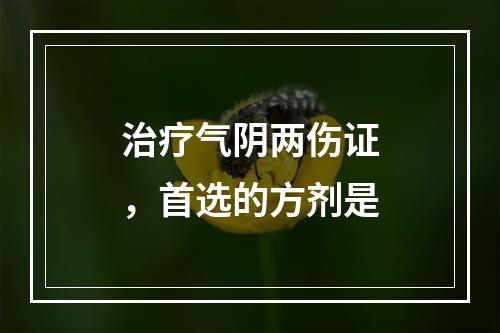 治疗气阴两伤证，首选的方剂是