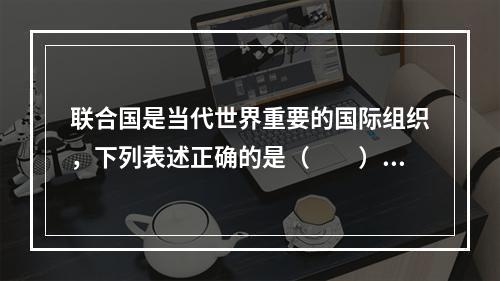 联合国是当代世界重要的国际组织，下列表述正确的是（　　）。