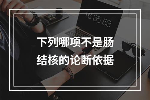 下列哪项不是肠结核的论断依据