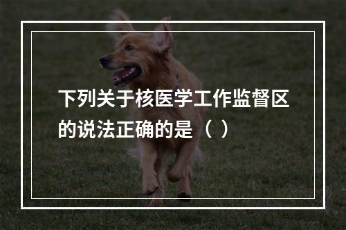 下列关于核医学工作监督区的说法正确的是（  ）