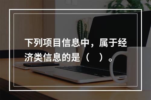 下列项目信息中，属于经济类信息的是（　）。