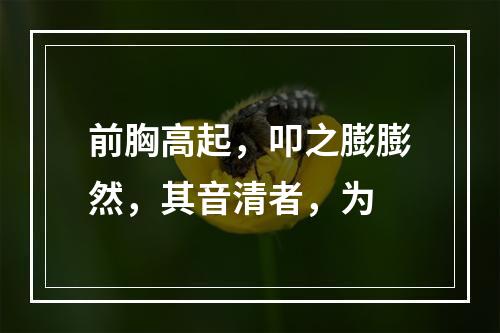 前胸高起，叩之膨膨然，其音清者，为