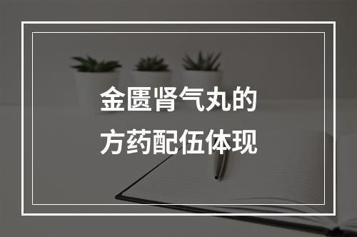 金匮肾气丸的方药配伍体现