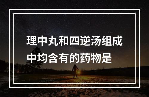 理中丸和四逆汤组成中均含有的药物是