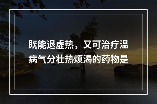 既能退虚热，又可治疗温病气分壮热烦渴的药物是