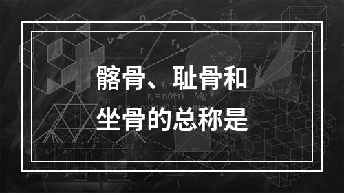 髂骨、耻骨和坐骨的总称是