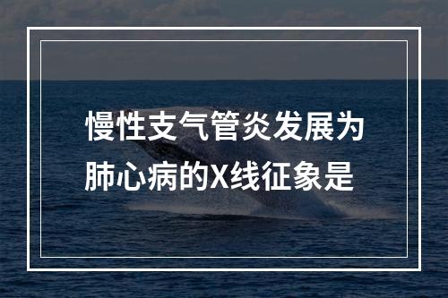 慢性支气管炎发展为肺心病的X线征象是