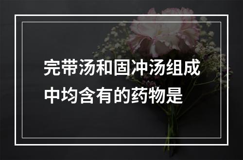 完带汤和固冲汤组成中均含有的药物是