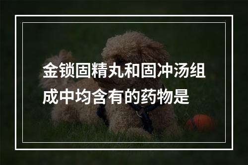 金锁固精丸和固冲汤组成中均含有的药物是