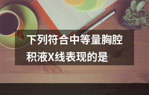 下列符合中等量胸腔积液X线表现的是