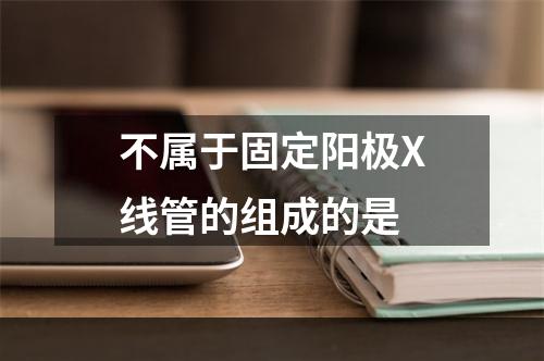 不属于固定阳极X线管的组成的是