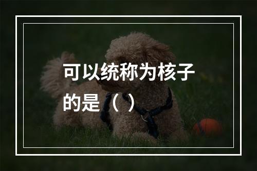 可以统称为核子的是（  ）