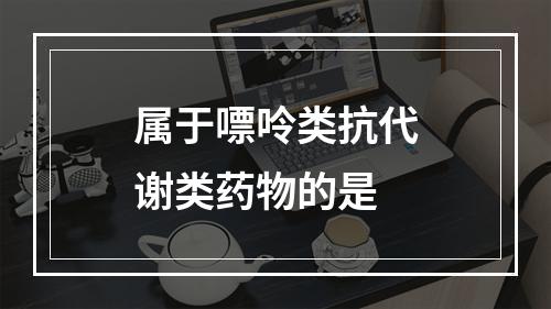 属于嘌呤类抗代谢类药物的是