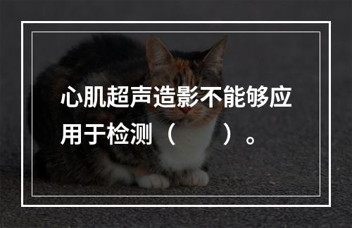 心肌超声造影不能够应用于检测（　　）。