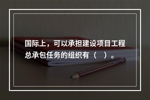 国际上，可以承担建设项目工程总承包任务的组织有（　）。