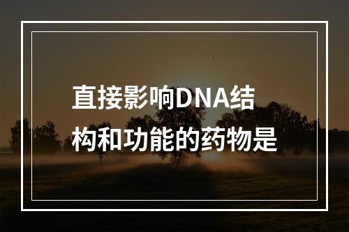 直接影响DNA结构和功能的药物是