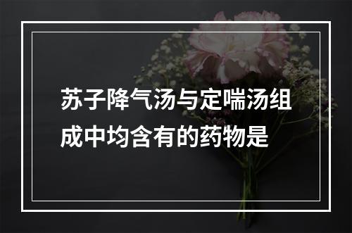 苏子降气汤与定喘汤组成中均含有的药物是