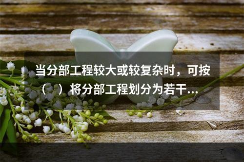 当分部工程较大或较复杂时，可按（　）将分部工程划分为若干子分