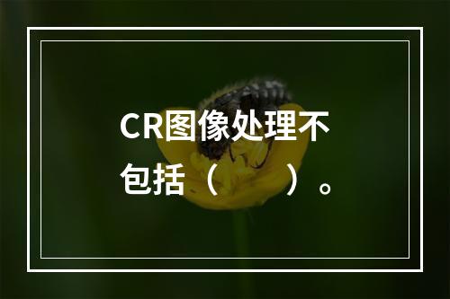 CR图像处理不包括（　　）。