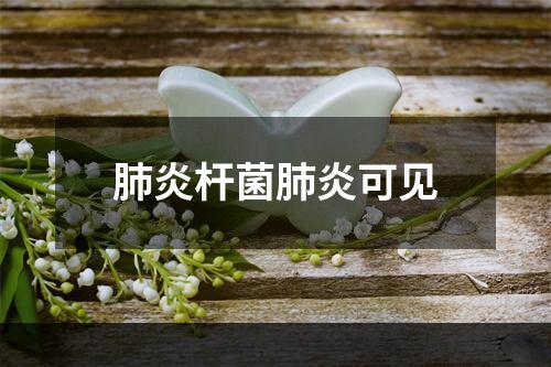 肺炎杆菌肺炎可见