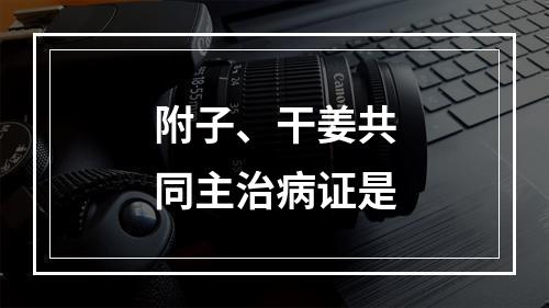 附子、干姜共同主治病证是