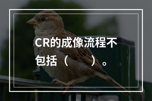 CR的成像流程不包括（　　）。