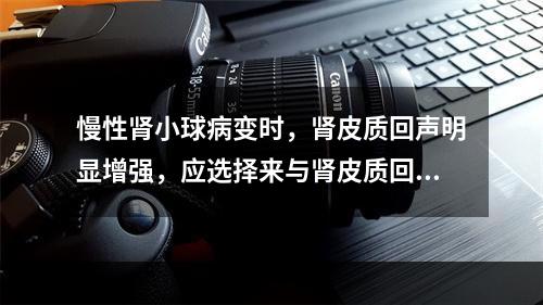 慢性肾小球病变时，肾皮质回声明显增强，应选择来与肾皮质回声作