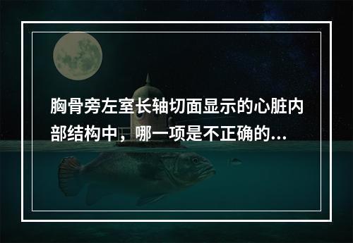 胸骨旁左室长轴切面显示的心脏内部结构中，哪一项是不正确的？（