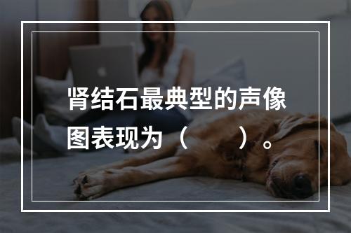 肾结石最典型的声像图表现为（　　）。