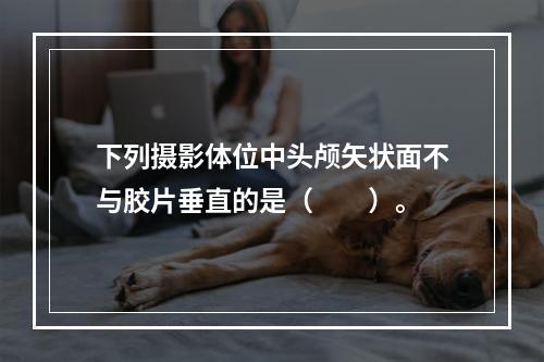 下列摄影体位中头颅矢状面不与胶片垂直的是（　　）。