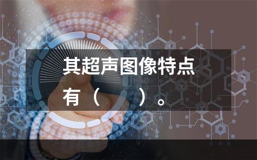 其超声图像特点有（　　）。