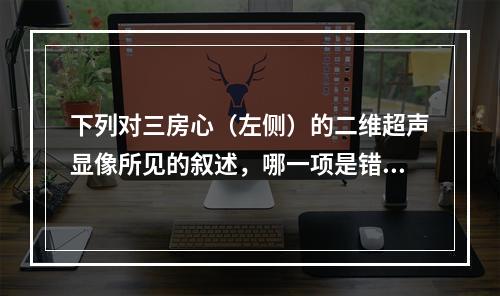 下列对三房心（左侧）的二维超声显像所见的叙述，哪一项是错误的