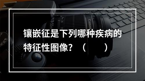 镶嵌征是下列哪种疾病的特征性图像？（　　）