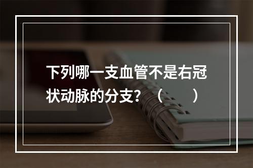 下列哪一支血管不是右冠状动脉的分支？（　　）