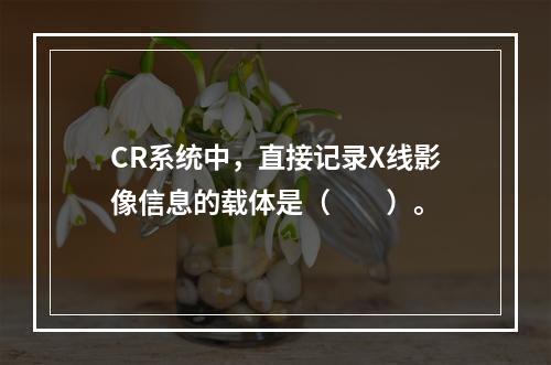 CR系统中，直接记录X线影像信息的载体是（　　）。