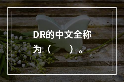 DR的中文全称为（　　）。