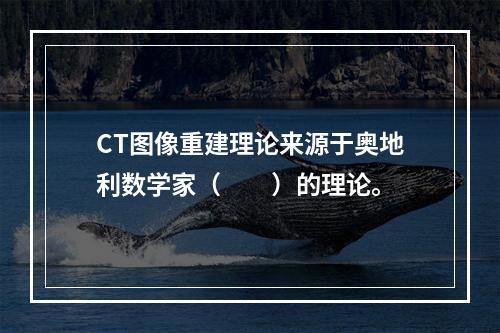 CT图像重建理论来源于奥地利数学家（　　）的理论。